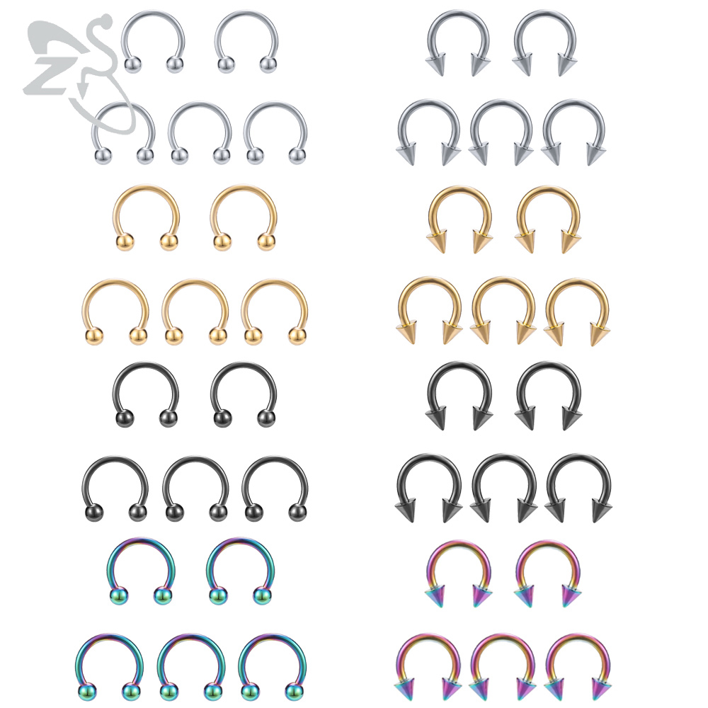 ZS حدوة حصان 316L الجراحية الص - مراجعة Zs Body Jewelry وسعره