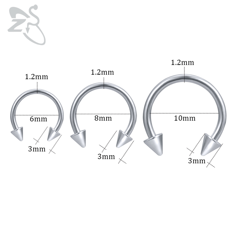ZS حدوة حصان 316L الجراحية الص - مراجعة Zs Body Jewelry وسعره