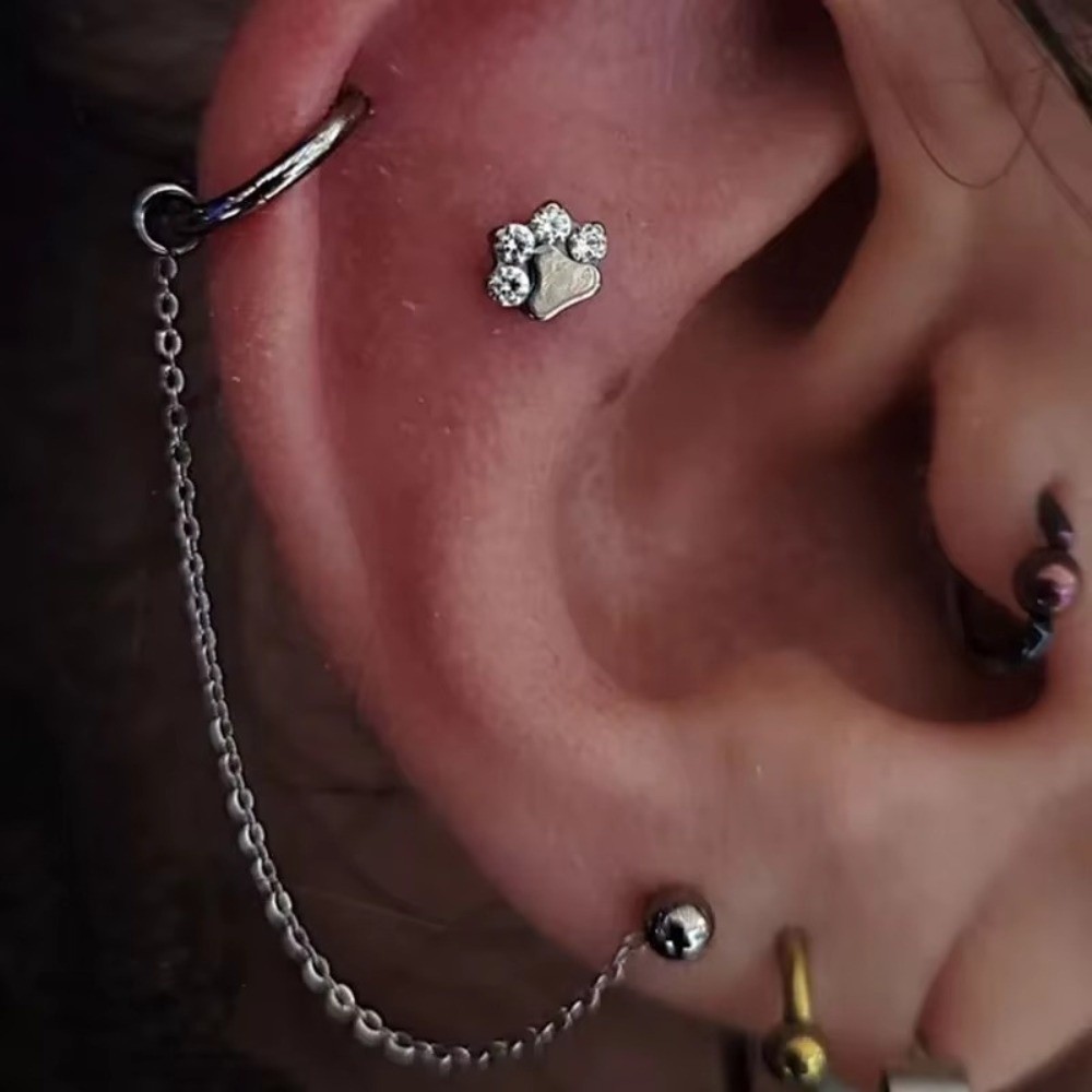 سلسلة أنف من التيتانيوم ثلاثية - مراجعة Body Jewelry Titanium وسعره