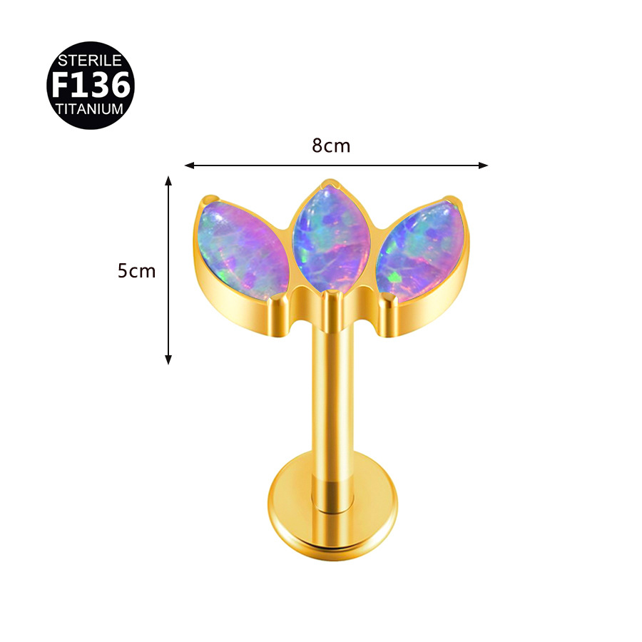 قطعة واحدة من أقراط لابريت بدو - مراجعة Body Jewelry Threadless وسعره
