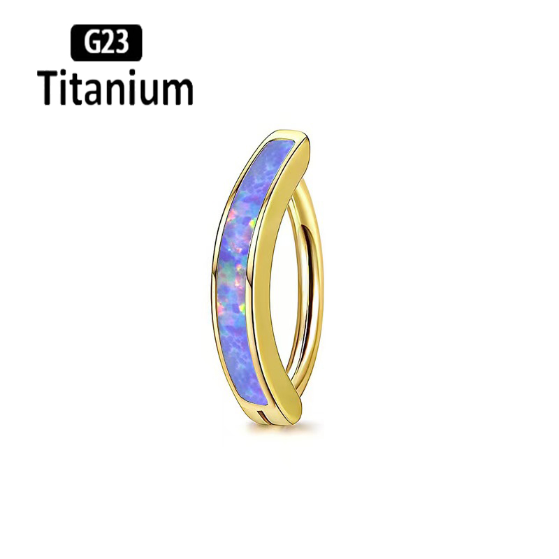 1 قطعة 14 جرام زرع الصف G23 ال - مراجعة Body Jewelry Implant Grade Titanium وسعره
