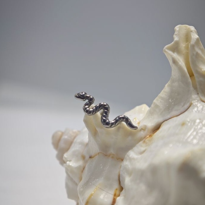 16 جرام زراعة التيتانيوم الصف  - مراجعة Body Jewelry Implant Grade Titanium وسعره