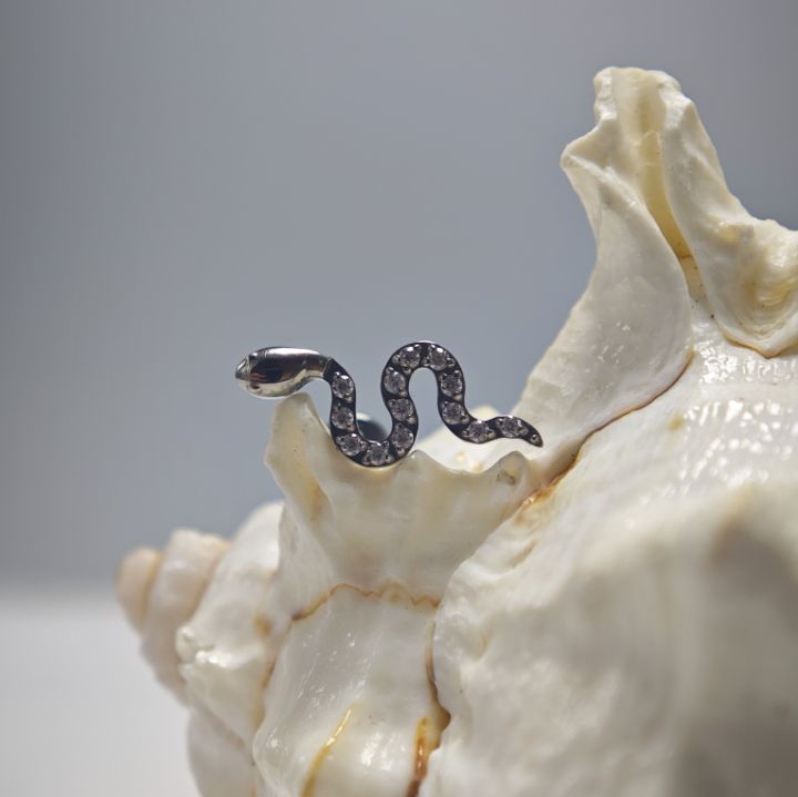 16 جرام زراعة التيتانيوم الصف  - مراجعة Body Jewelry Implant Grade Titanium وسعره